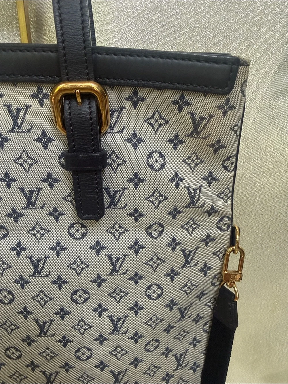 Louis Vuitton elegant louis